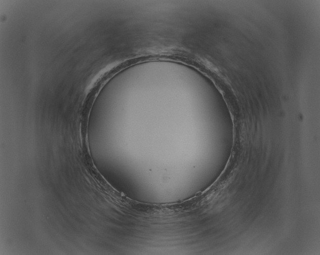 X0000073401214200608251451