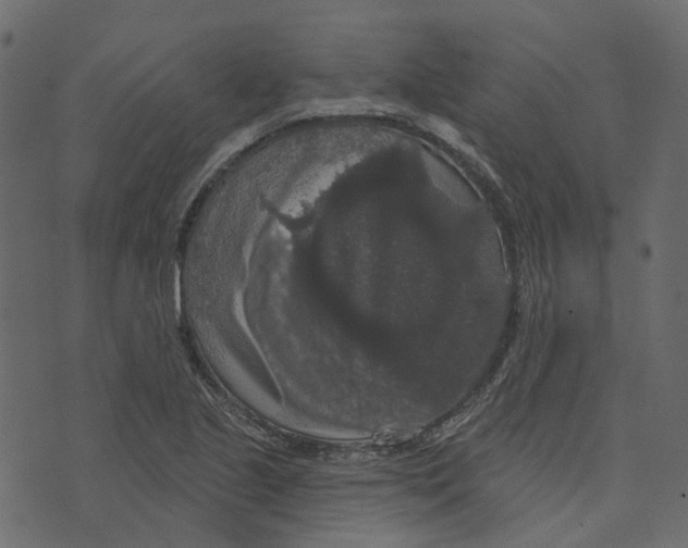 X0000073401221200608251451