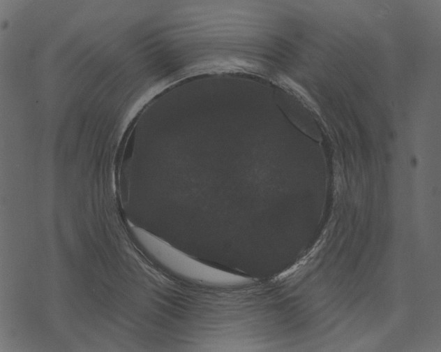 X0000073401226200608251451