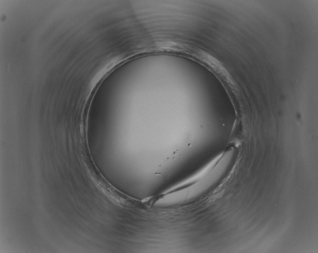 X0000073401234200608251451