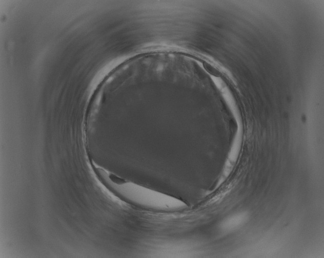 X0000073401239200608251451