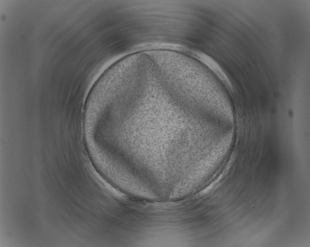 X0000073401244200608251451