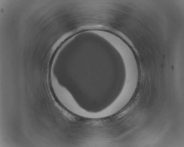 X0000073401245200608251451