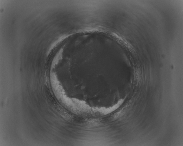 X0000073401262200608251450