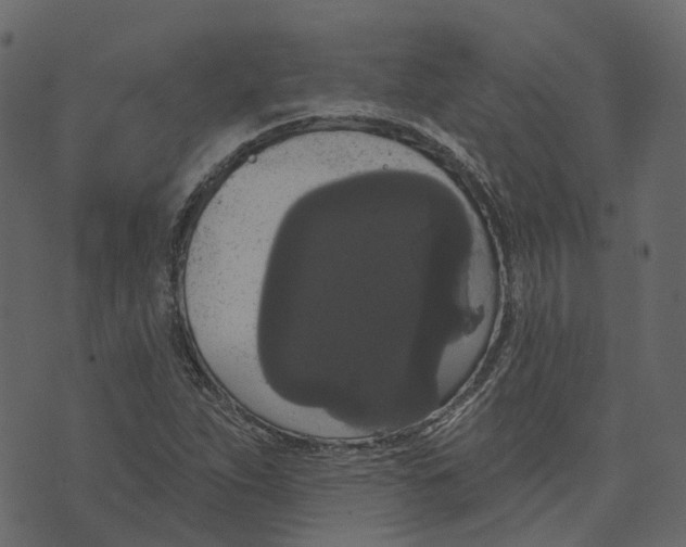 X0000073401263200608251450
