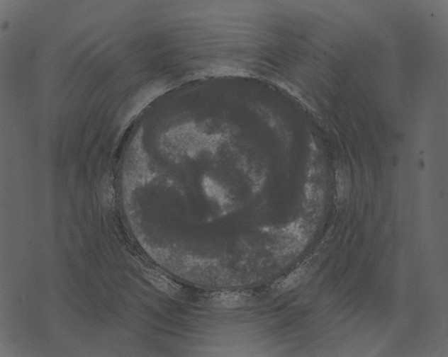 X0000073401266200608251450