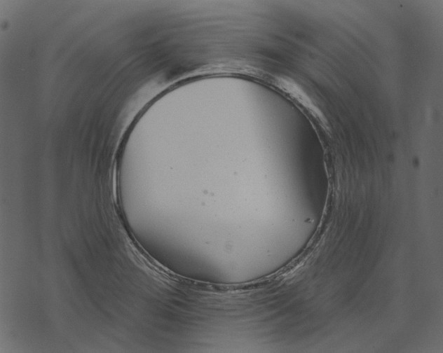 X0000073401276200608251450