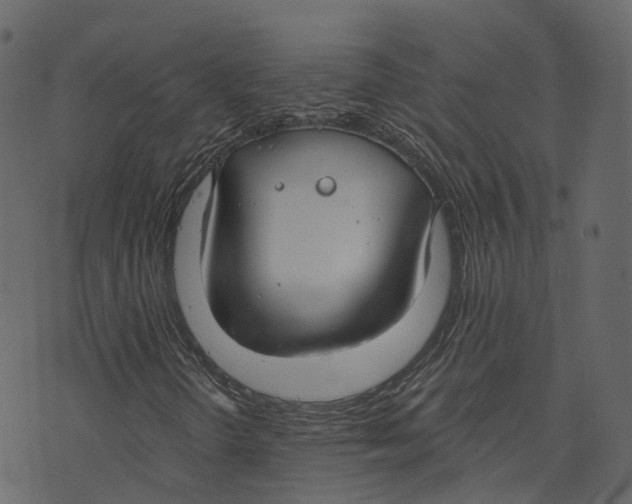 X0000073401298200608251449