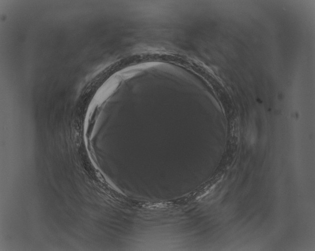 X0000073401303200608251449