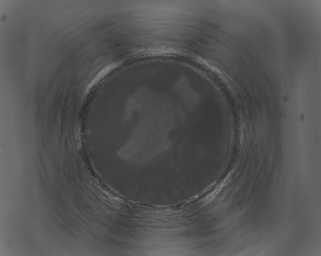 X0000073401306200608251449