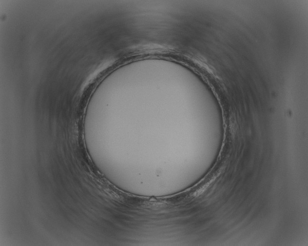 X0000073401309200608251449