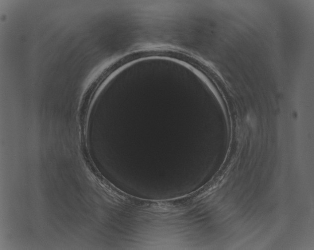 X0000073401319200608251449