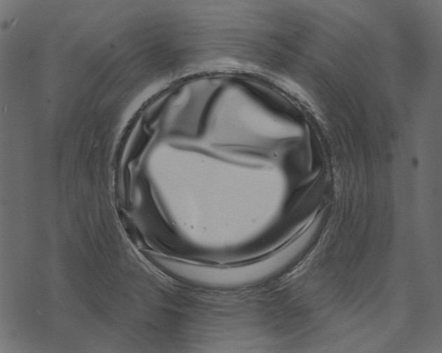 X0000073401326200608251449