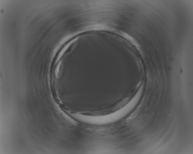 X0000073401334200608251450