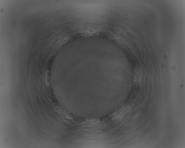 X0000073401346200608251449