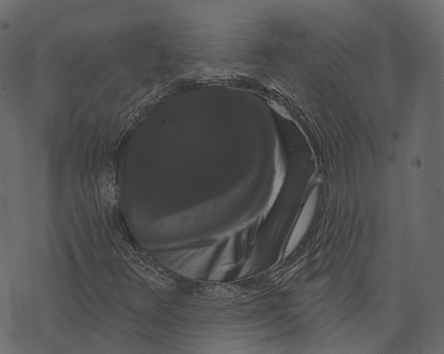 X0000073401348200608251449