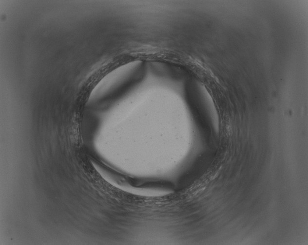 X0000073401350200608251449