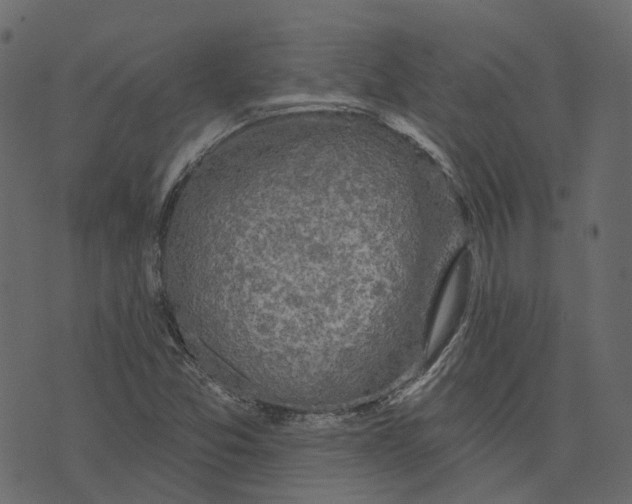 X0000073401357200608251449