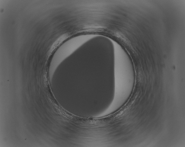 X0000073401362200608251449