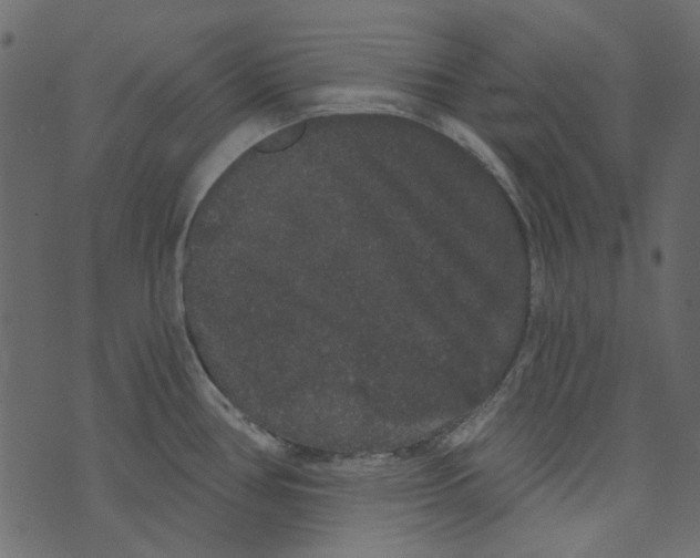 X0000073401386200608251448