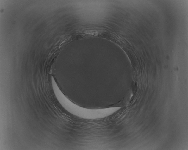 X0000073401394200608251447