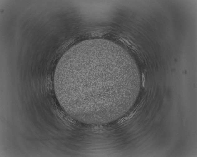 X0000073401395200608251447
