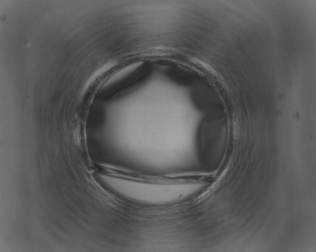 X0000073401402200608251447
