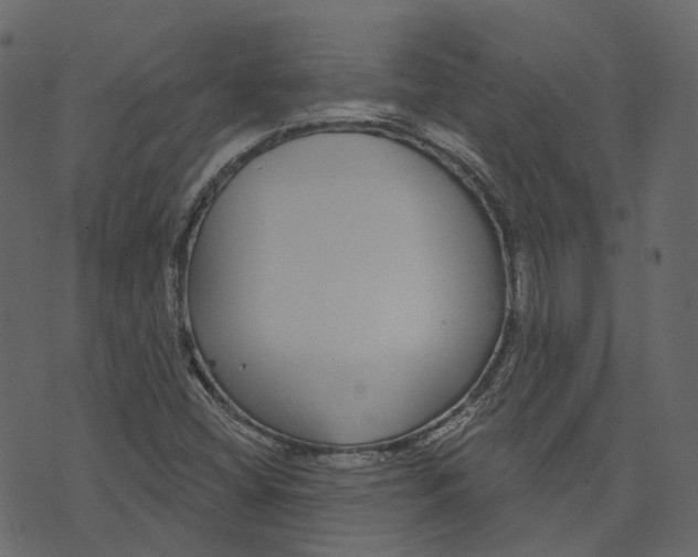 X0000073401404200608251447