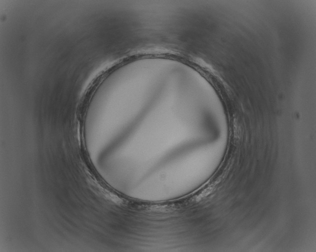 X0000073401408200608251448