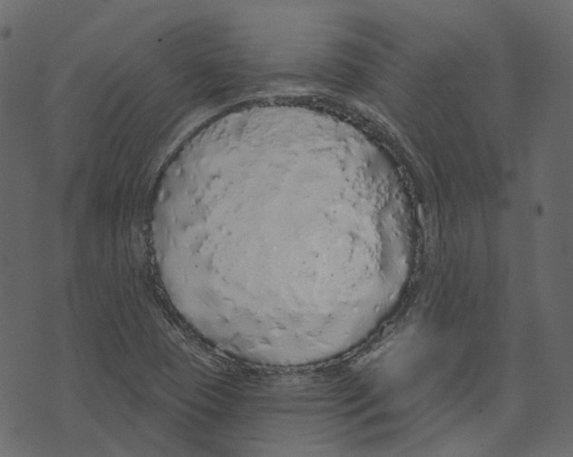 X0000073401409200608251448