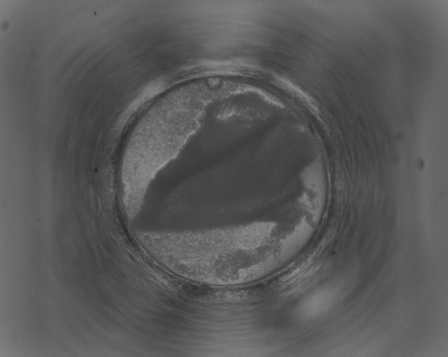 X0000073401411200608251448