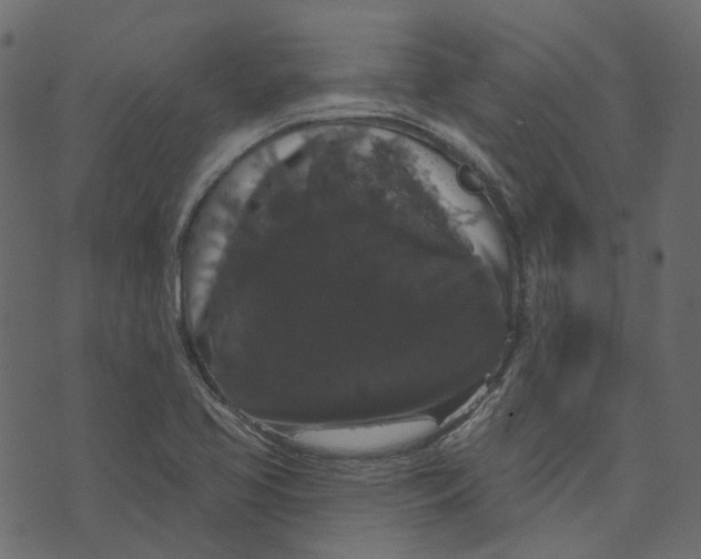 X0000073401413200608251448