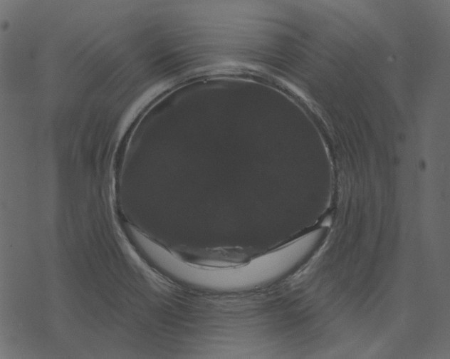 X0000073401418200608251448
