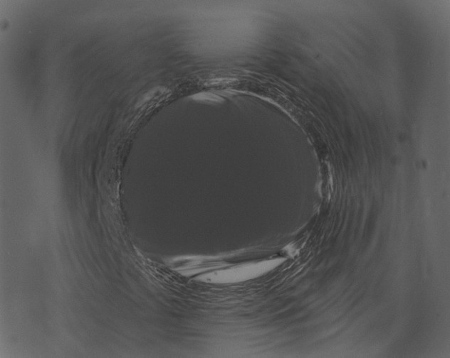 X0000073401441200608251447