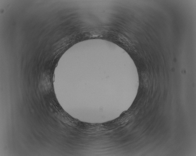 X0000073401442200608251447