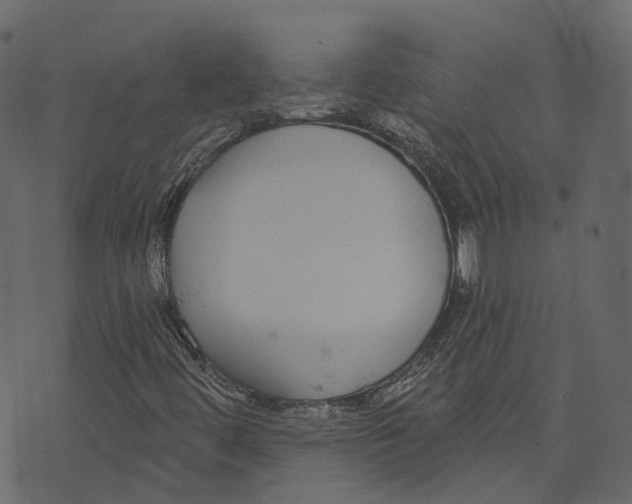 X0000073401444200608251447