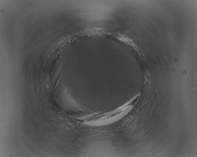 X0000073401445200608251447