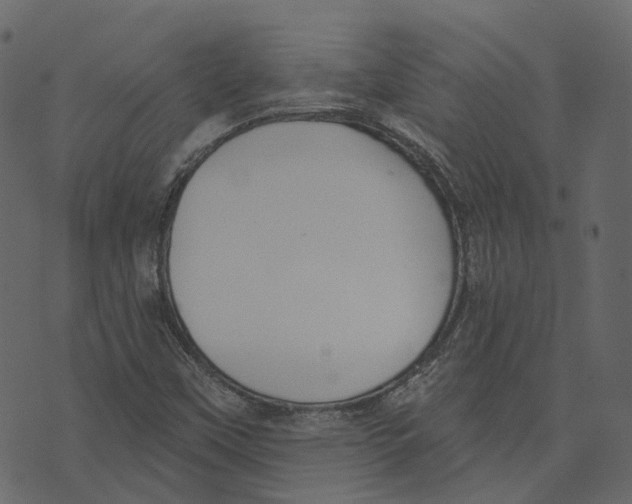 X0000073401451200608251447