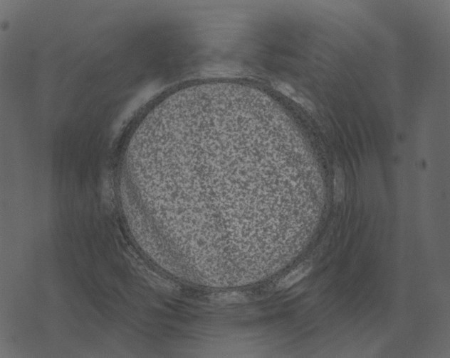 X0000073401454200608251447