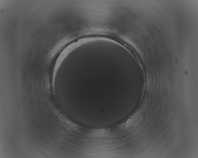 X0000073401455200608251447