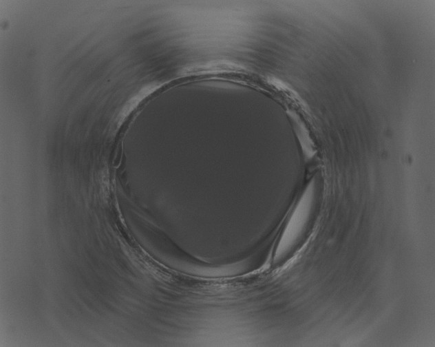 X0000073401457200608251447