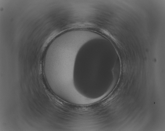 X0000073401459200608251447