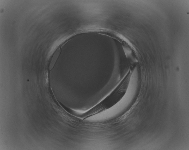 X0000073401461200608251447