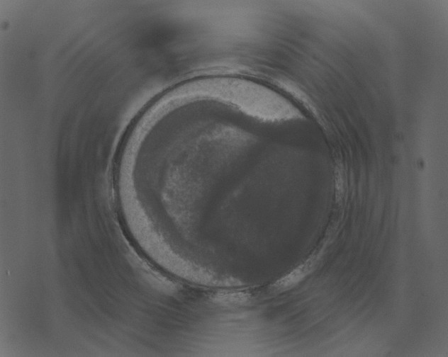 X0000073401466200608251447