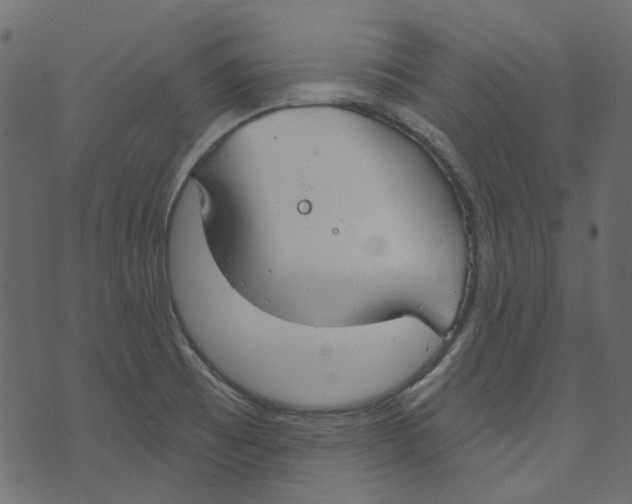 X0000073401473200608251447