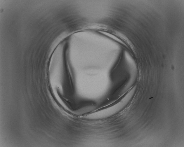 X0000073401483200608251447