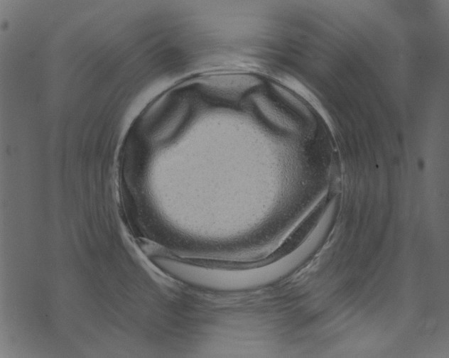 X0000073401485200608251447