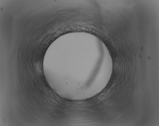 X0000073401490200608251446