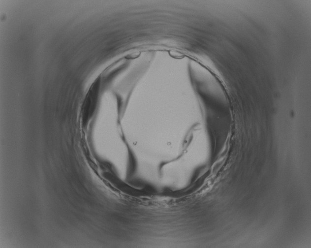 X0000073401524200608251446