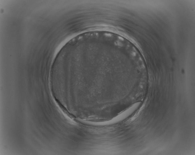X0000073401533200608251446